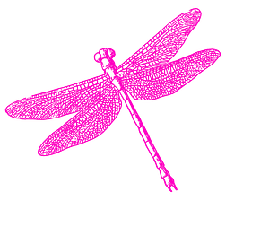 brand dragonfly brand dragonfly decor
