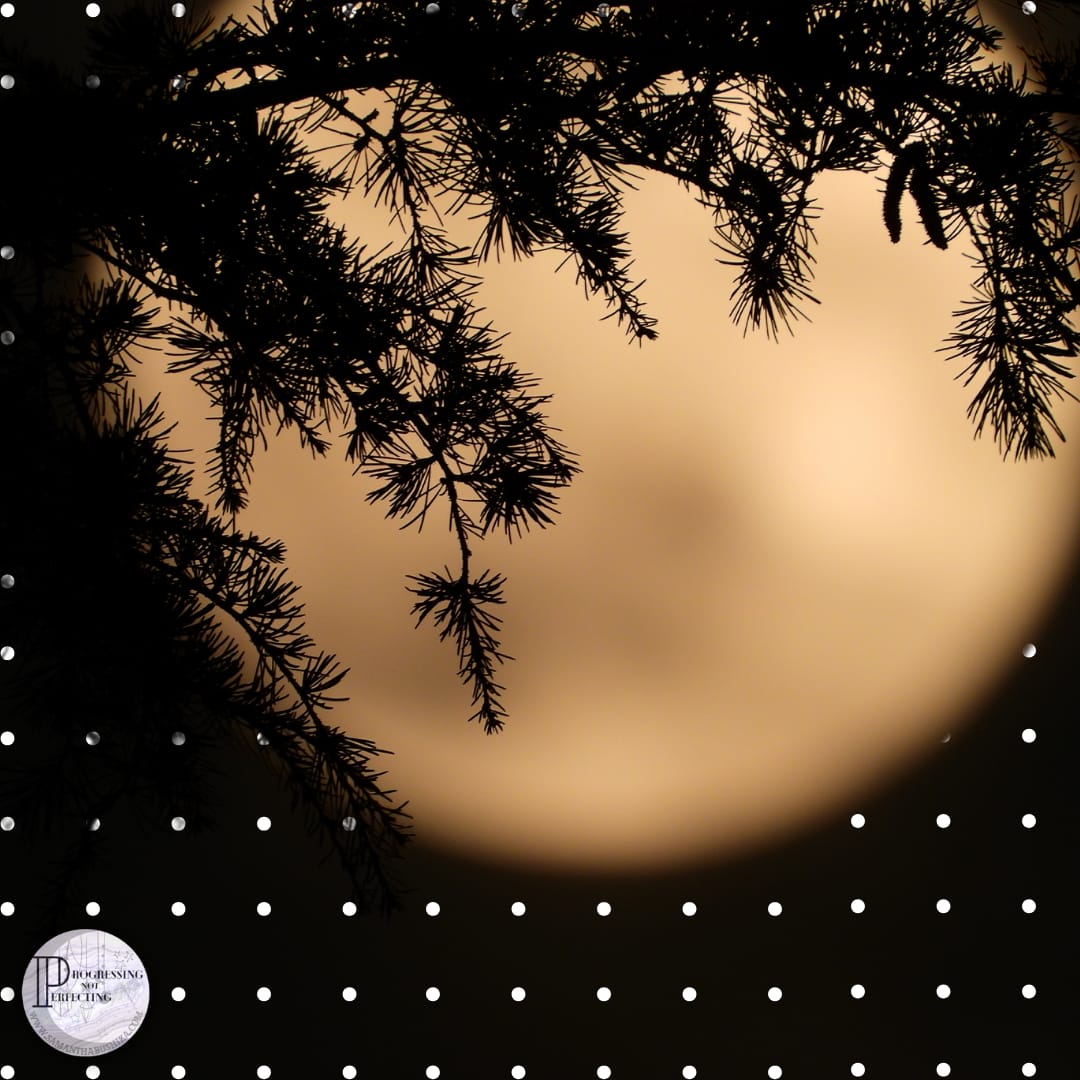 Halloween &Amp; Samhain Moon Phase Energy Check-Up: Harness The Power Of The Waning Moon