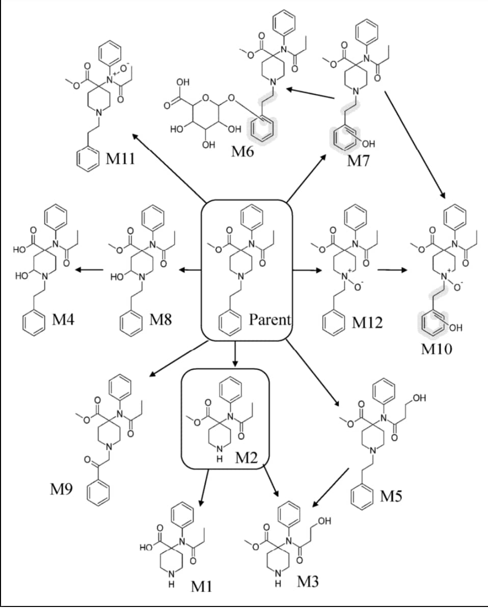 Carfentanil