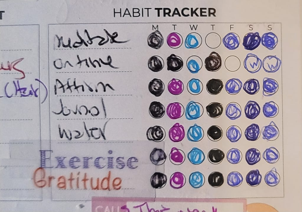 Image of authors habit tracker from her daily planner.