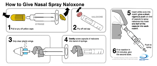 Overdose Basics National Harm Reduction Coalition