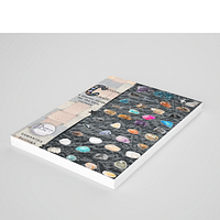 crystal craze workbook