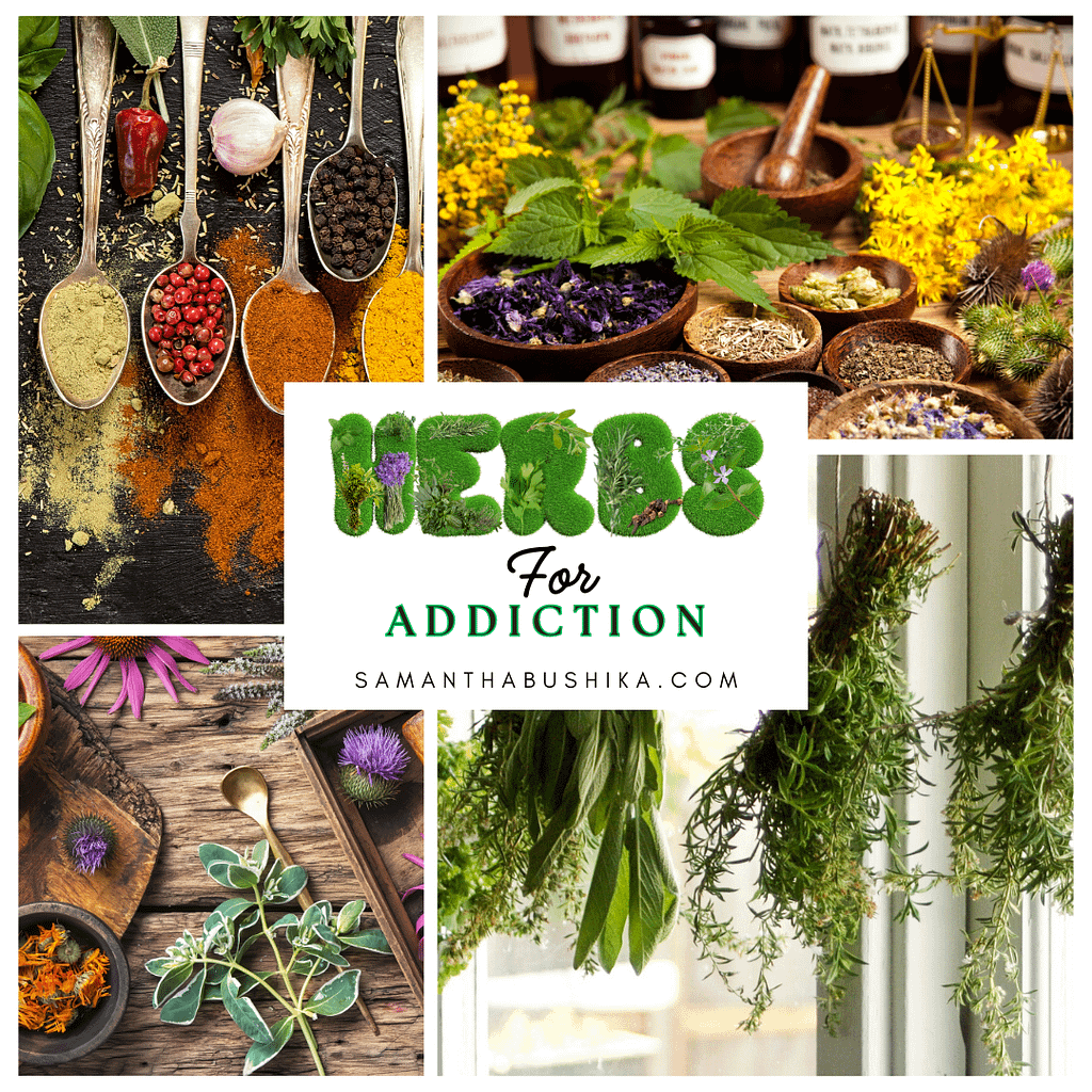 Herbs For Addiction: Natural Solutions For A Healthier Life 1 1