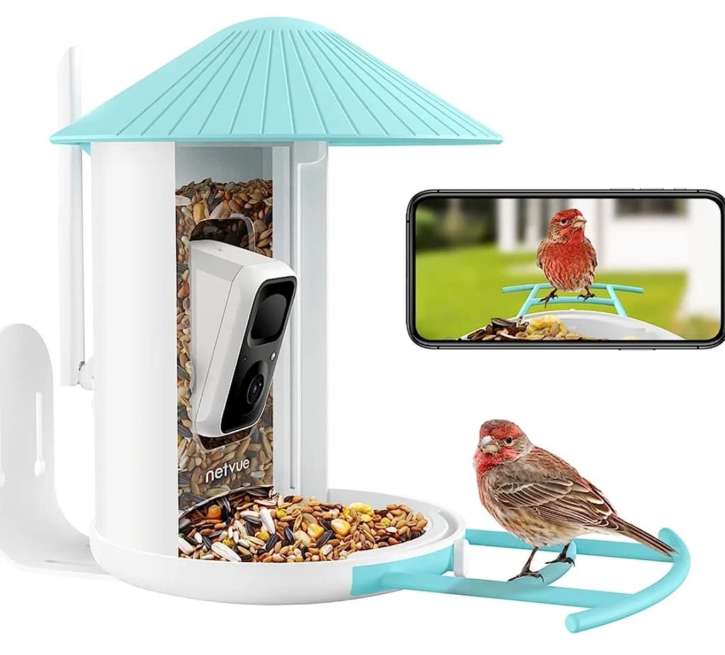 Comprehensive Guide To Navigating Kratom Withdrawal 11 Image Of Birdwatching Feeder With Cam