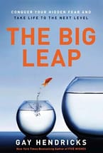 Overcoming Addiction: 58 Of The Life Changing Books That Inspired Me To Take Control 32 The Big Leap Book Cover