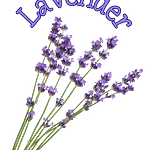 The Herbal Fix 3 Lavender 1