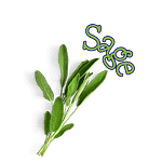 The Herbal Fix 5 Sage
