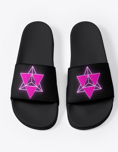 Pnp Logo Slides
