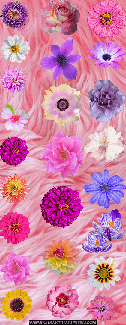 1-4 Background