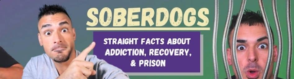 Top 24 Addiction Recovery Youtube Channels To Follow In 2024 10 Sober Dogs Channel