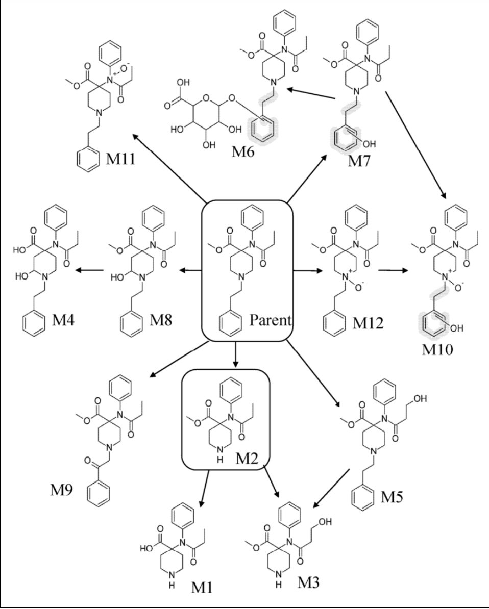 Carfentanil
