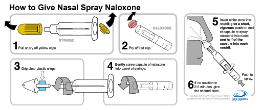 Harm Reduction 1 Overdose Basics National Harm Reduction Coalition