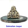 dalmation-jasper