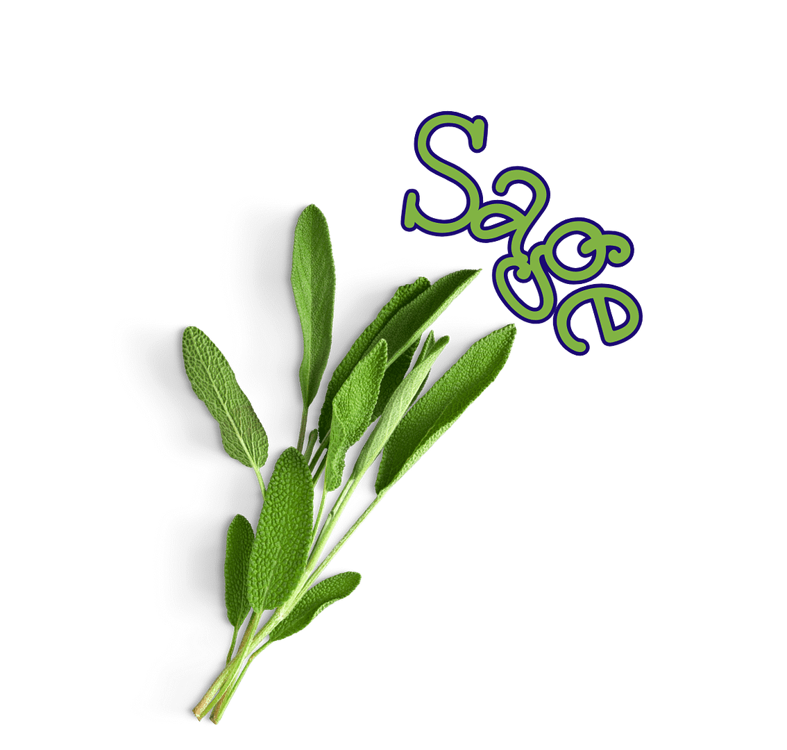 sage