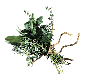 herb