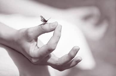 Image of hand symbol in Gyan Mudra with butterfly on the finger