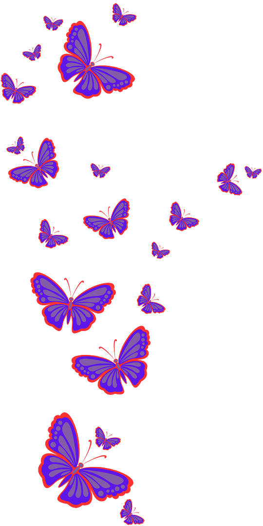 butterflies