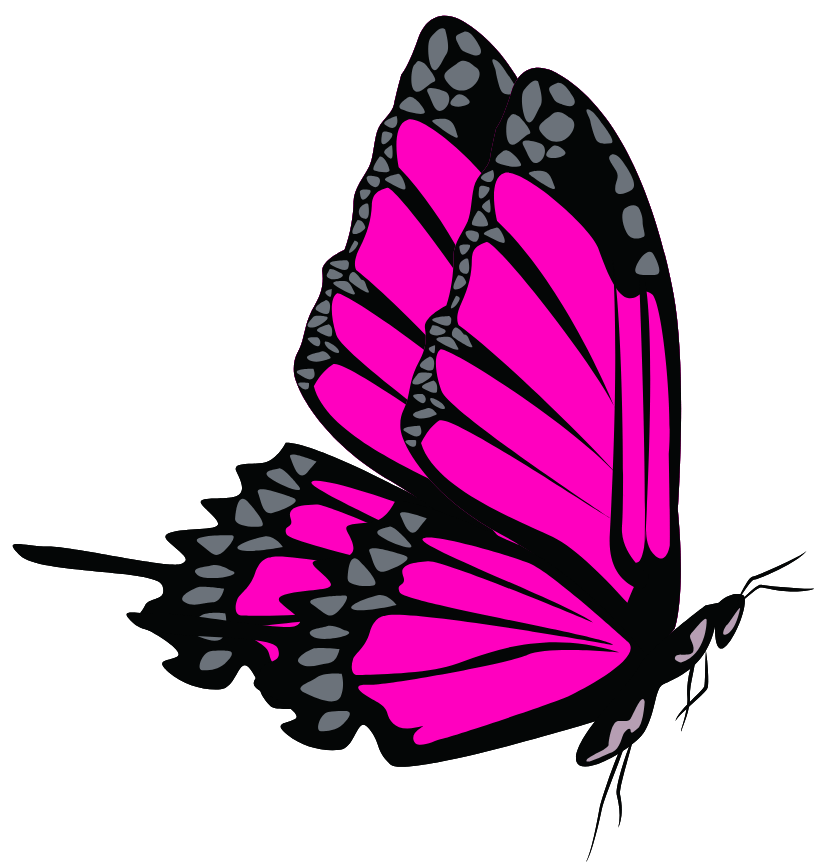 butterfly decor