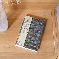 prisms of possibility ebook cover