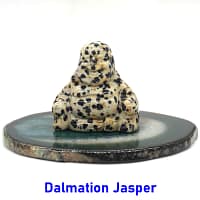 dalmation-jasper