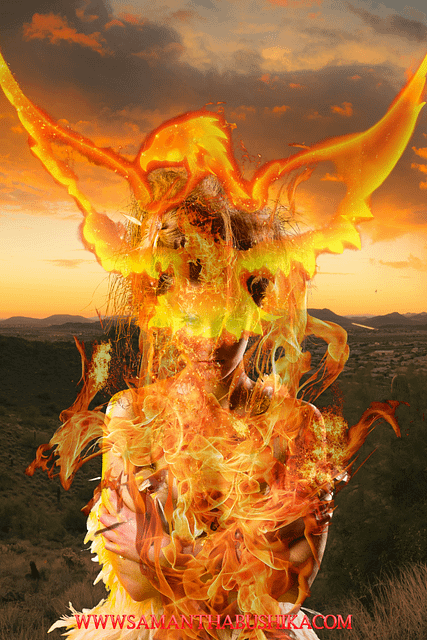 Rising from the Ashes: A Guide to Overcoming Life’s Setbacks