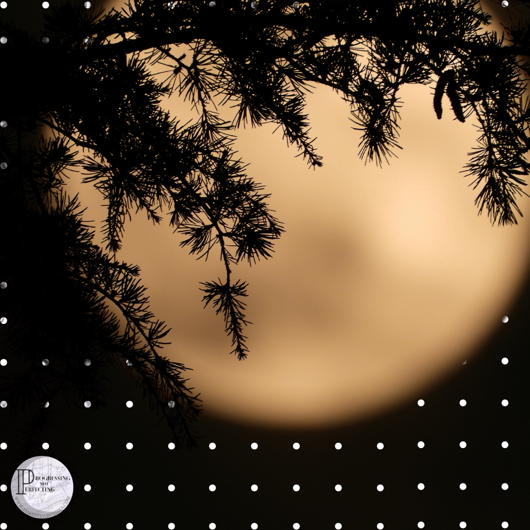 5 Halloween & Samhain Moon Phase Energy Check-Up: Harness the Power of the Waning Moon