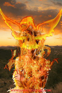 Rising from the Ashes: A Guide to Overcoming Life’s Setbacks