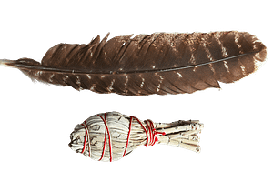 Feather and Smudge Stick
