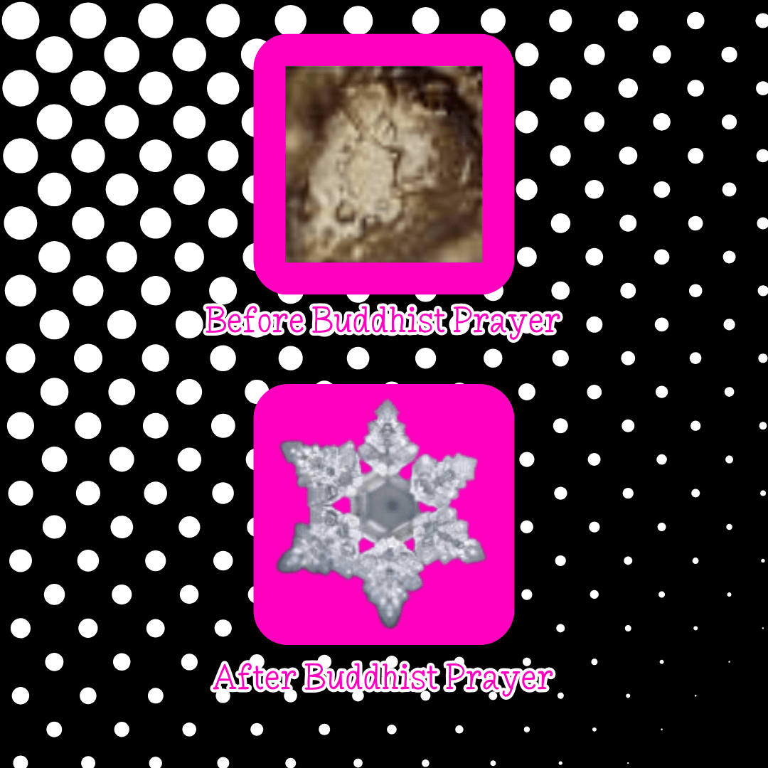 Understanding Dr. Emoto’s Water Consciousness Study & How It Can Transform Your Life