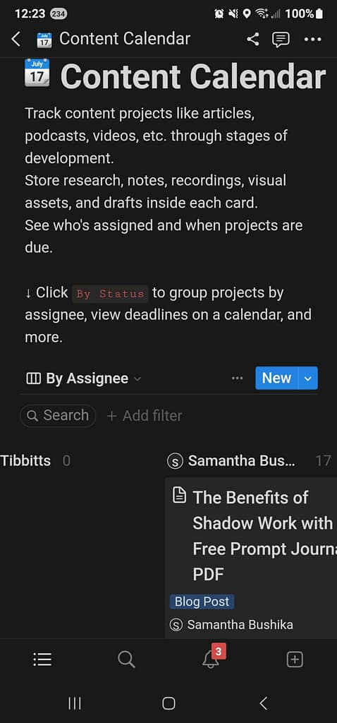 Screenshot 20230516 122338 Notion