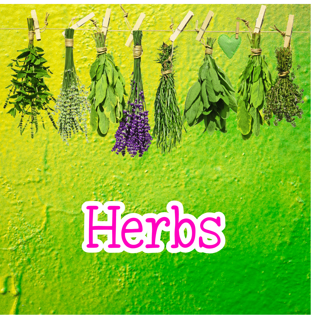 herbs menu